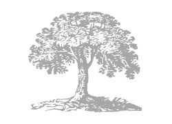 Initial Investment or Payment